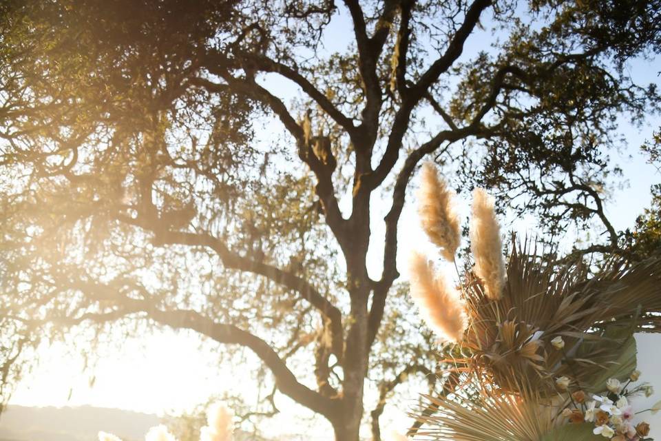 Palm wall backdrop