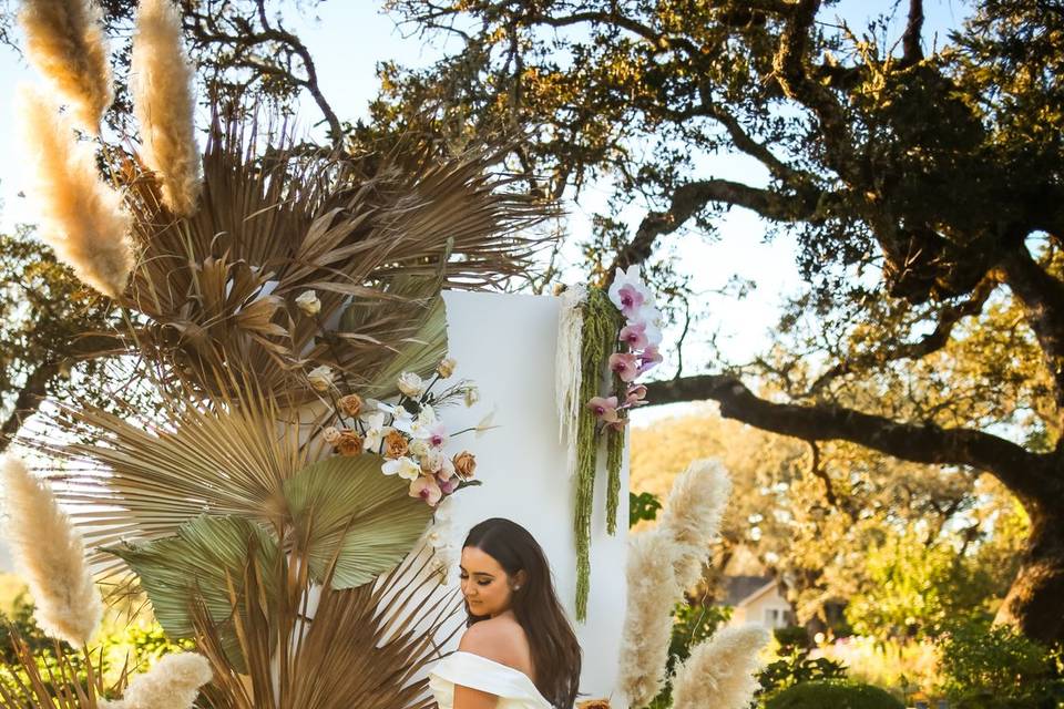 Bride and Backdrop