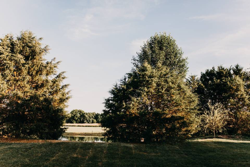 Pond on property