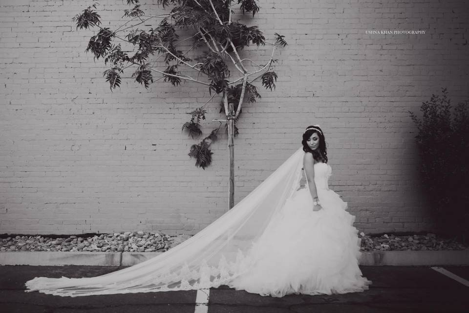 The beautiful bride