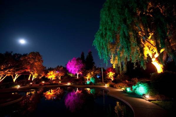 Decor lighting can add a true wow factor to an event.