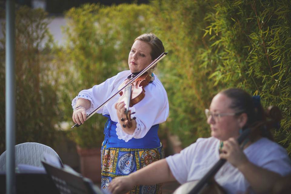 Musician in Sicily