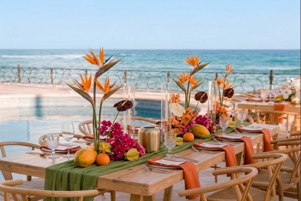 Tropical colorful vibes
