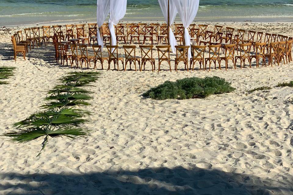 Canopy at the beach