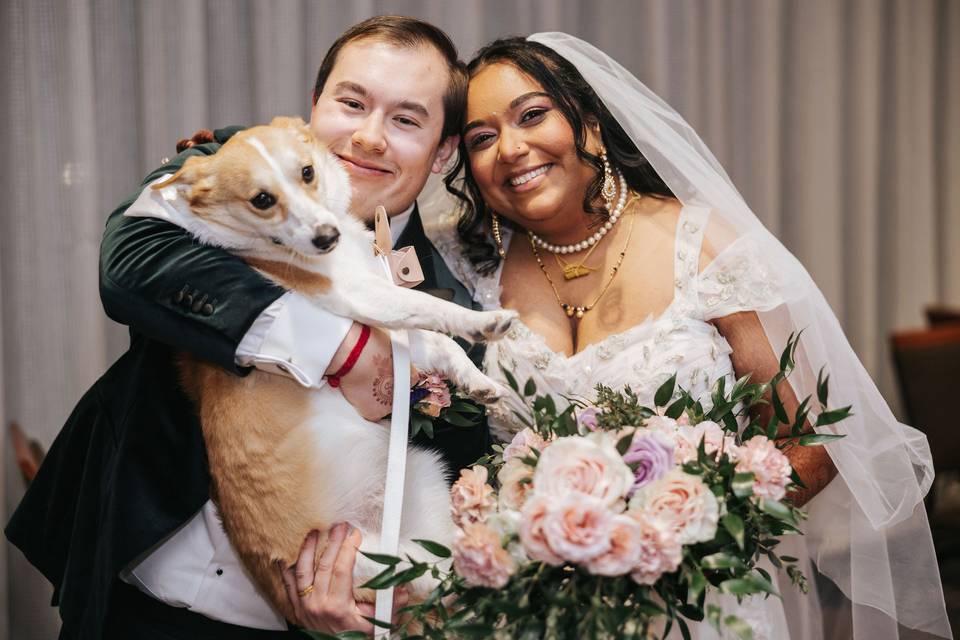 We love dogs!
