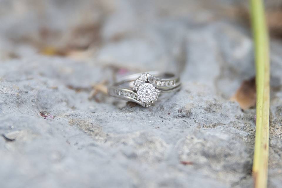 Ann Michelle Photography