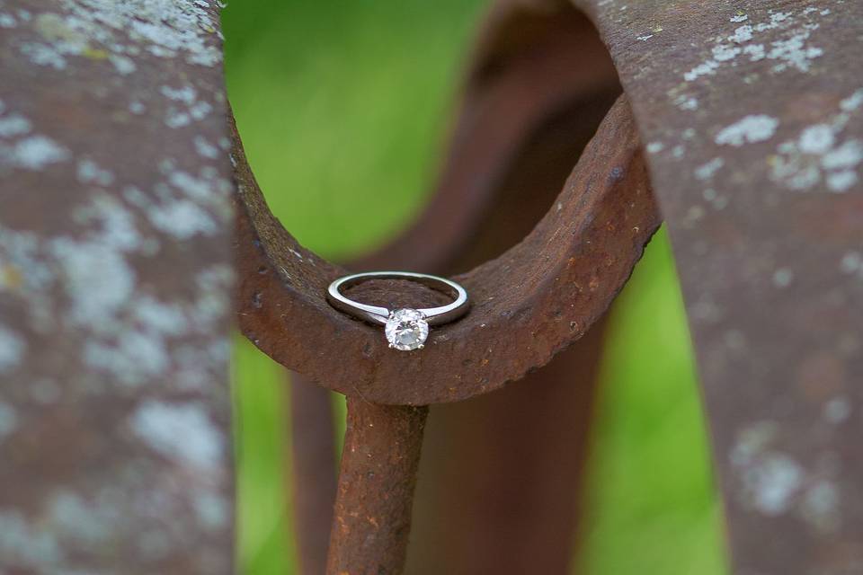 Ann Michelle Photography