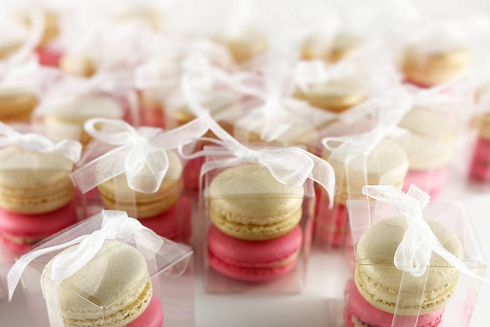 Meghan's Macarons