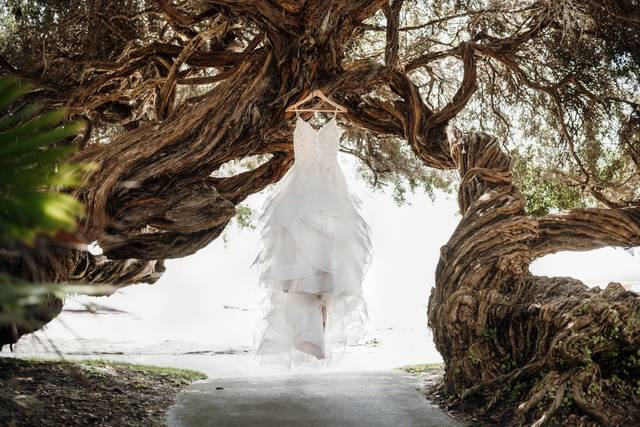 San Diego Wedding Day