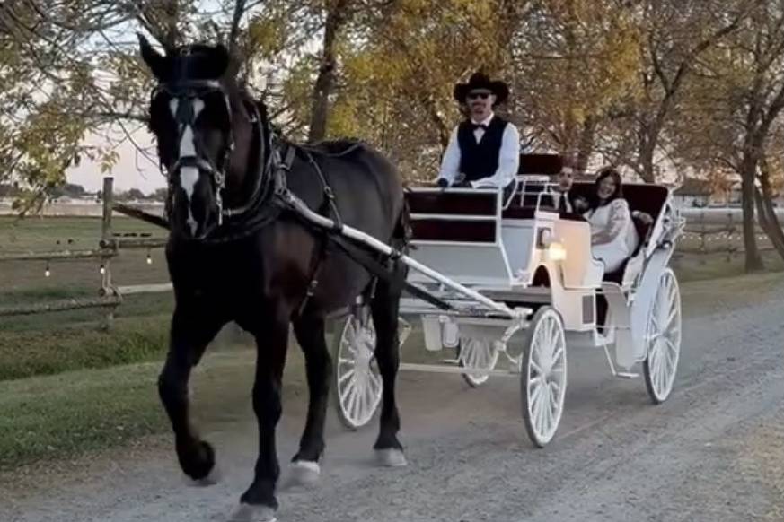 Country Weddings