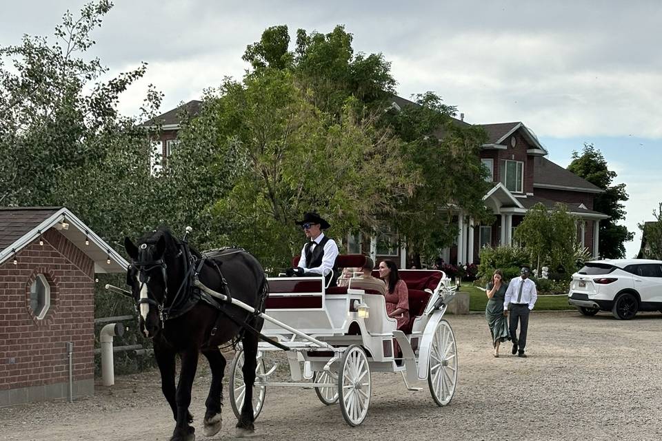Carriage rides for all guest