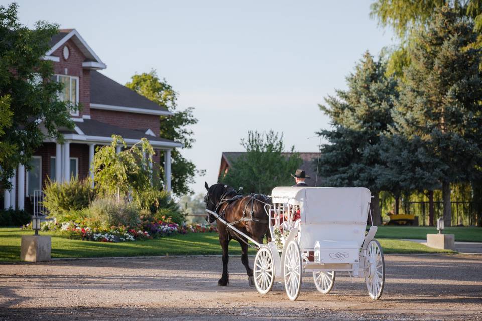 Carriage rides for guests