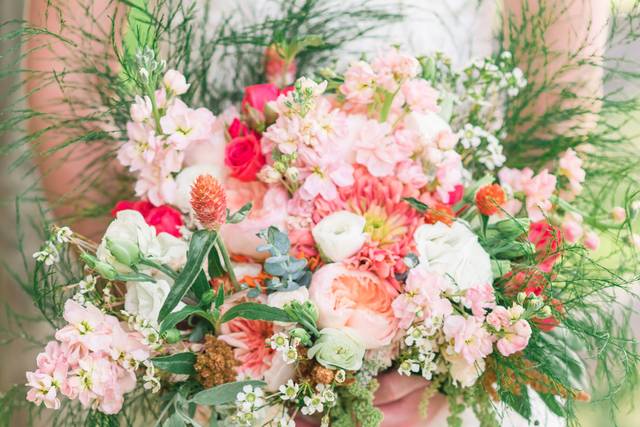 Jacqueline Binkley Photography
