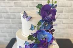 Butterflies