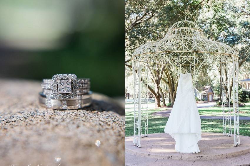 Amanda Warnock Photography