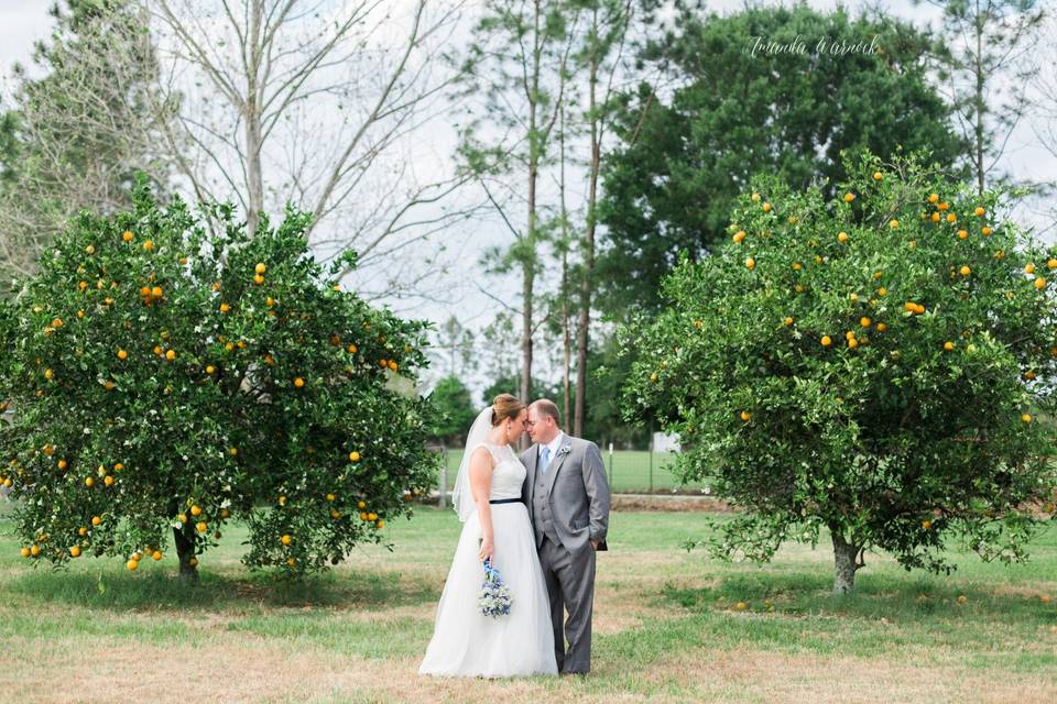 Amanda Warnock Photography