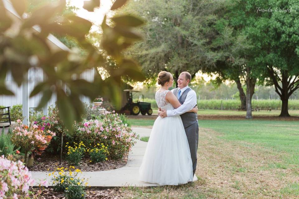 Amanda Warnock Photography
