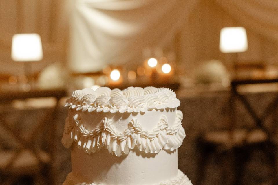 Terri Baskin Photography