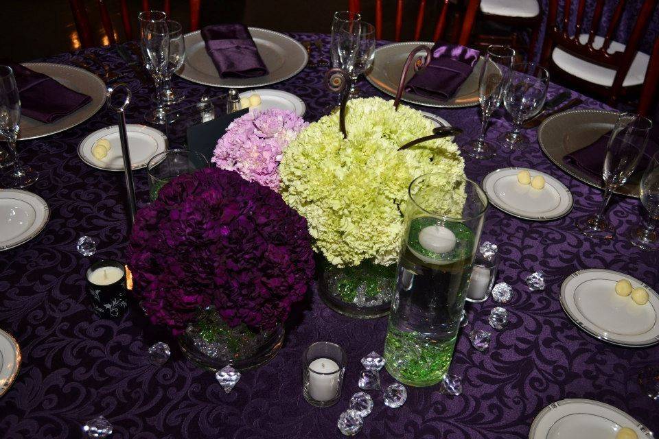 Elizabeth Ray Events