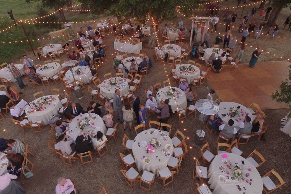 Elizabeth Ray Events