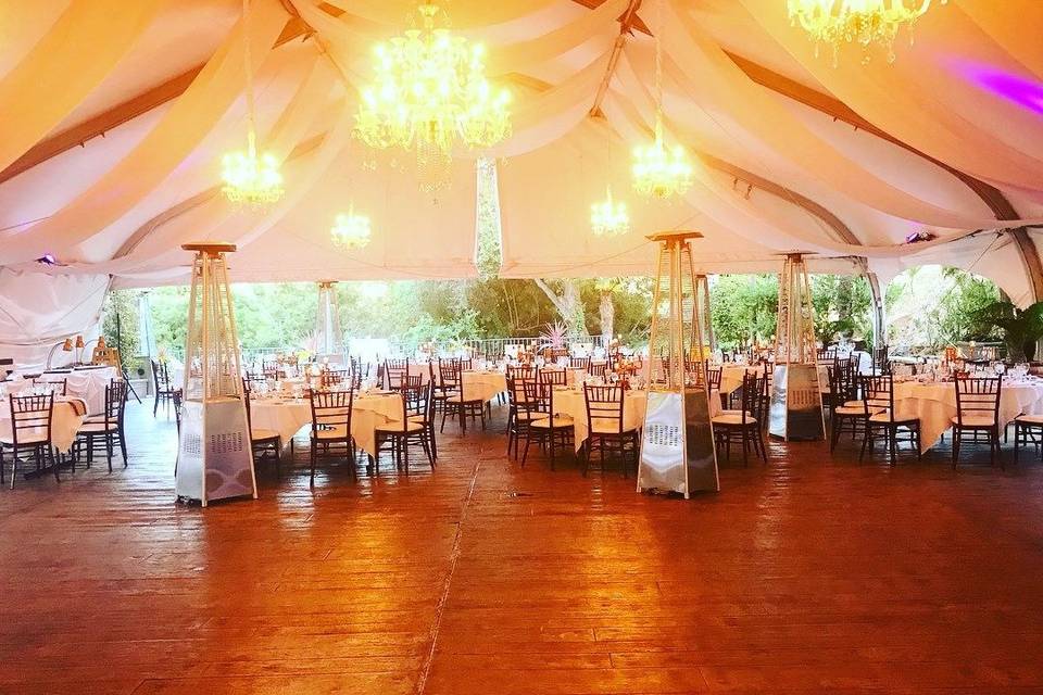 Elizabeth Ray Events