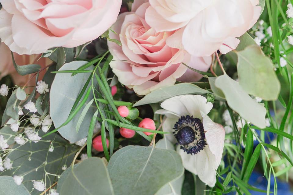 Anemone, Blush Bouquet