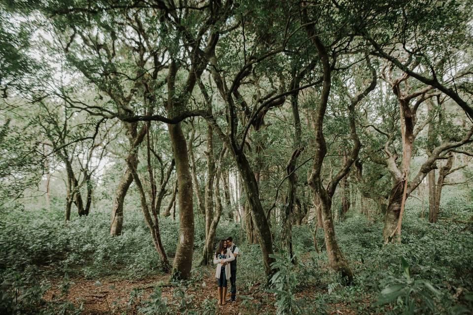 Couple in Costa Rica forest