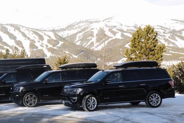 Sleek vehicles