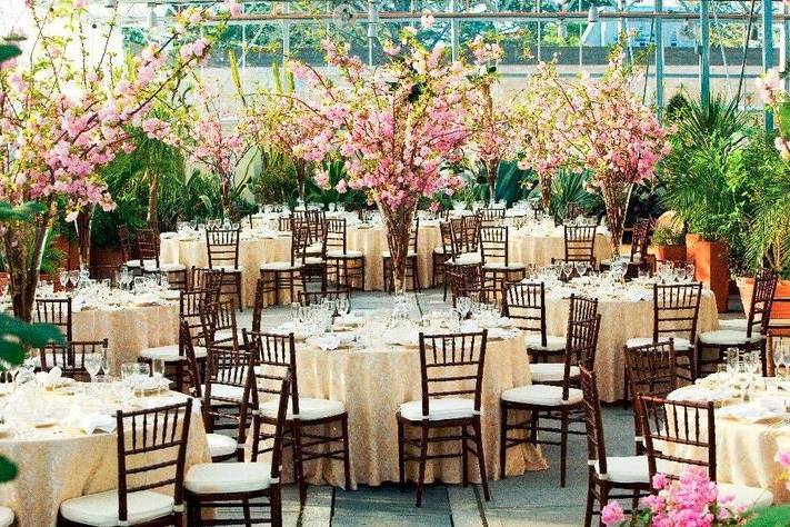 Elegant reception venue
