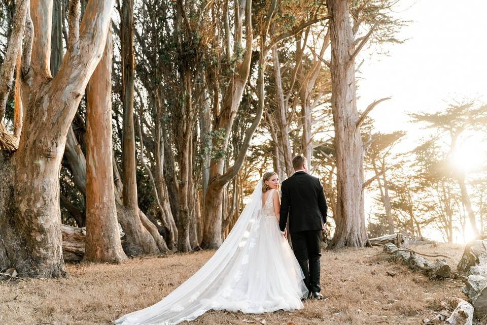 Bridal Portraits