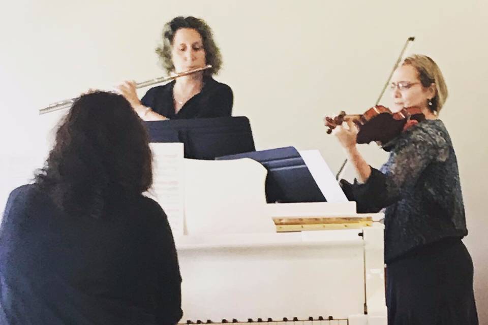 Flute, violin, and piano trio