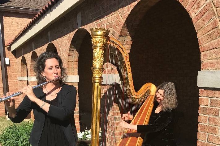 Flute and harp performance