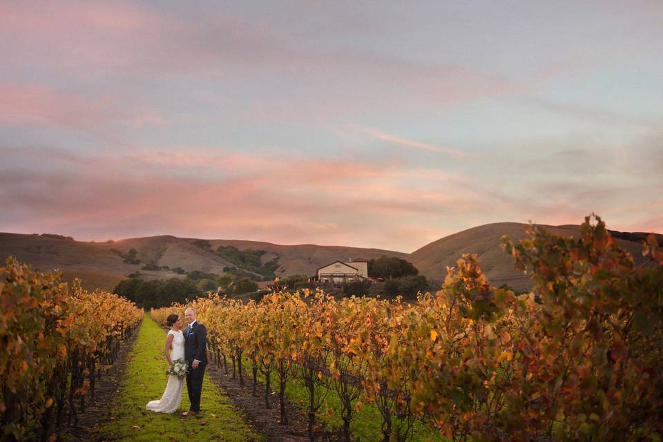 Newlyweds in the vineyard