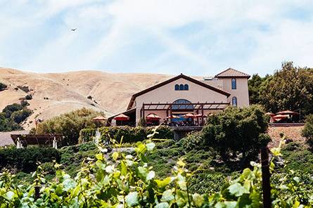 Gloria Ferrer Wines in Sonoma – Best Wineries