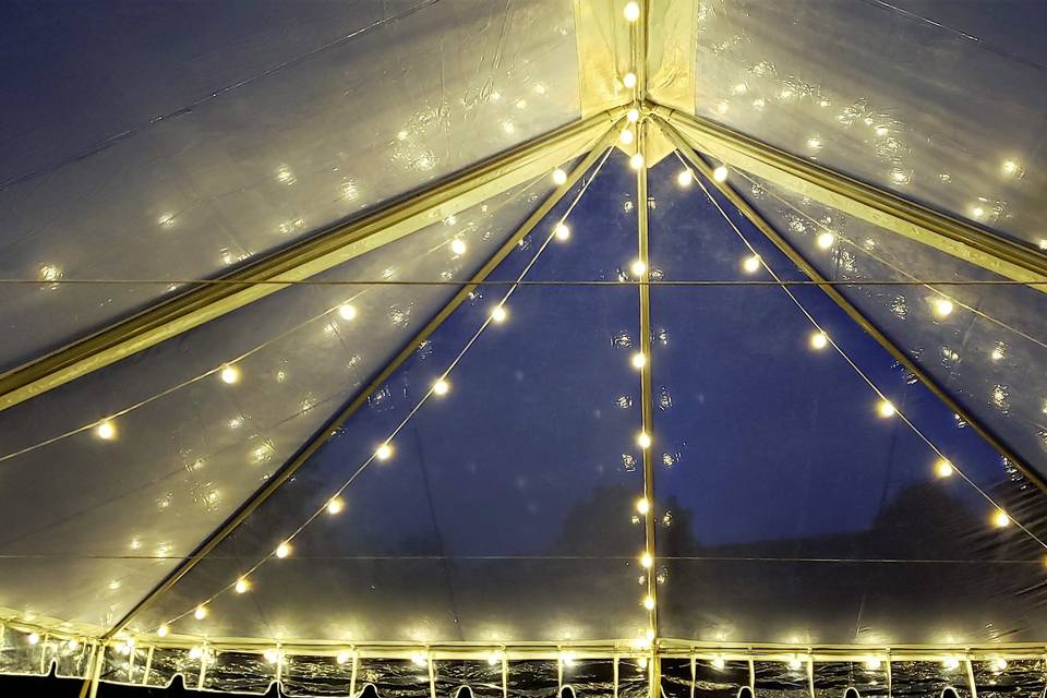 Reception Tent w/ Lighting