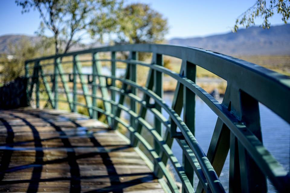 Bridge Closeup