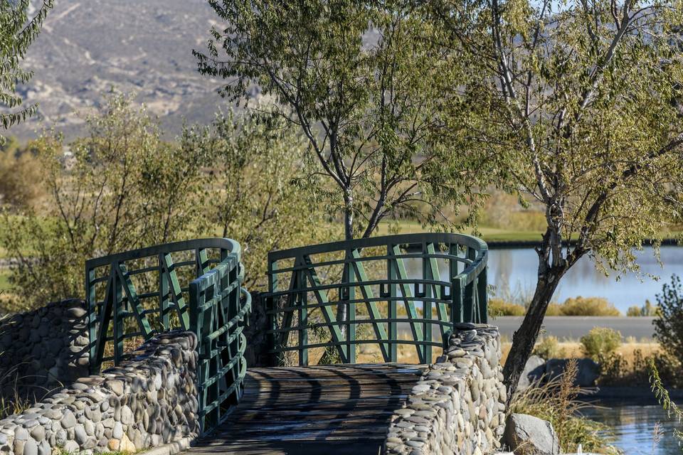 Bridge and Trees