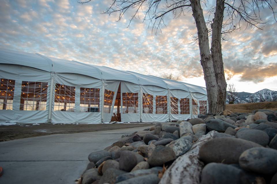 Event Tent Outside with Tree