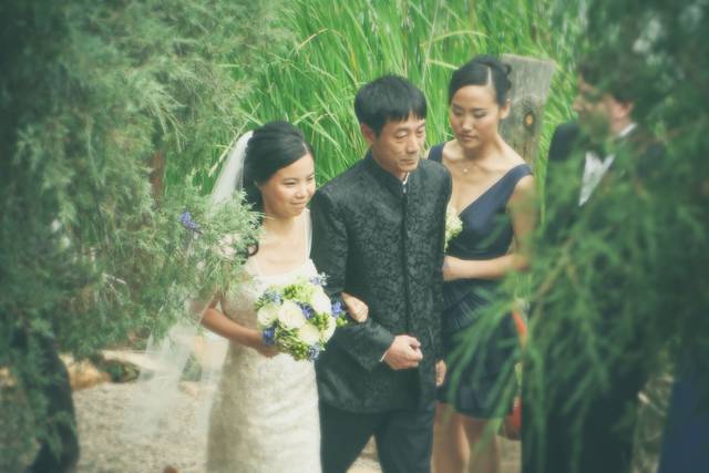 Father walking the bride