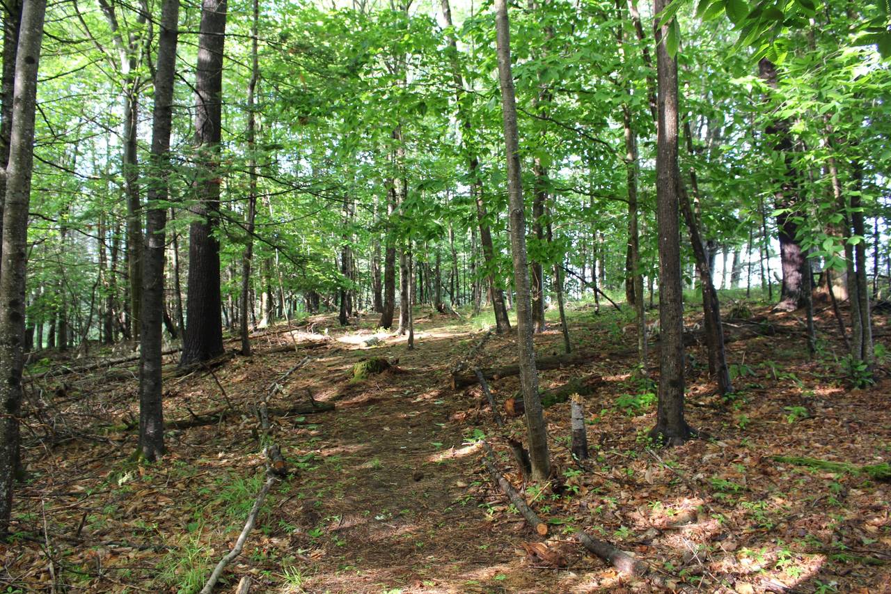 LongWoods Preserve - Banquet Halls - Cumberland Center, ME - WeddingWire