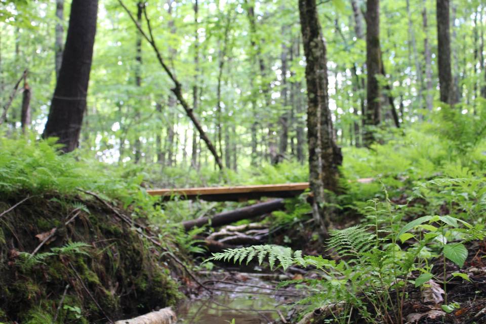 Foot bridge