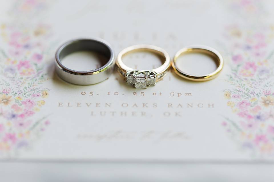Rose Photography