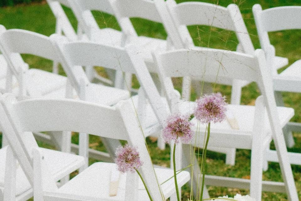 Wedding Day