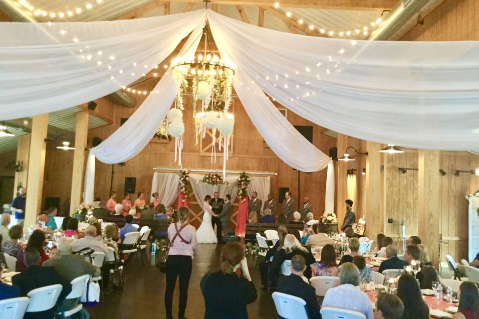 Robyn's Wedding