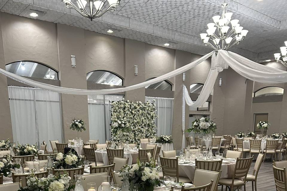 Backdrop