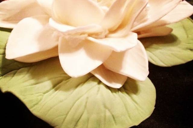 Maturo Sugar Artistry LLC
