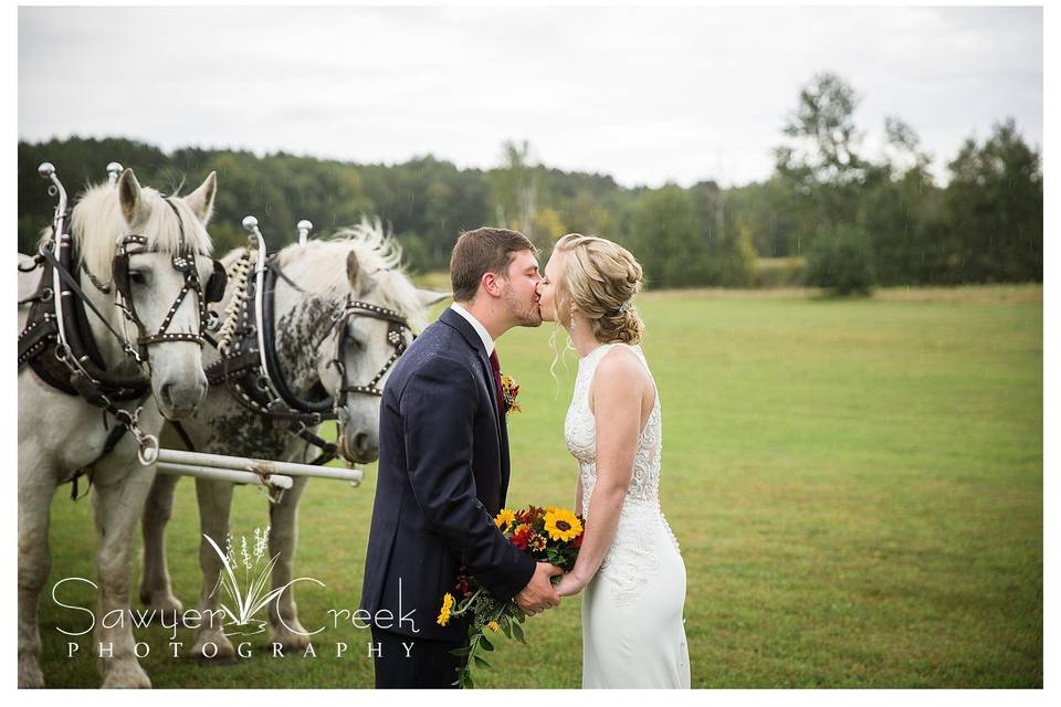 Horses, Beautiful wedding!