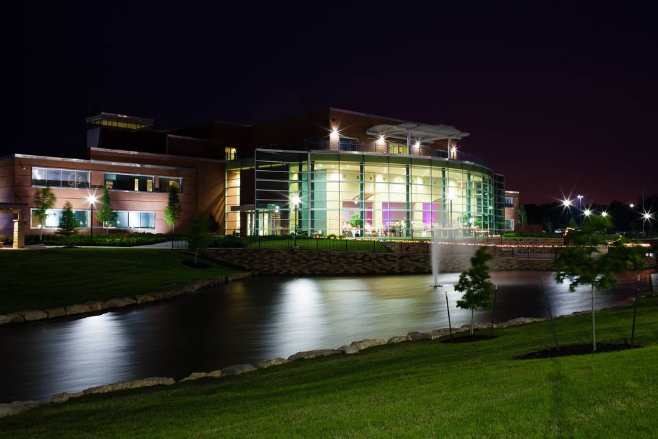 The pond at night