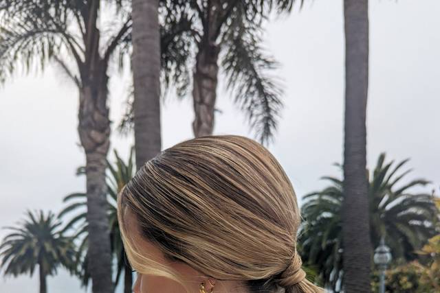 Elegant Ponytail