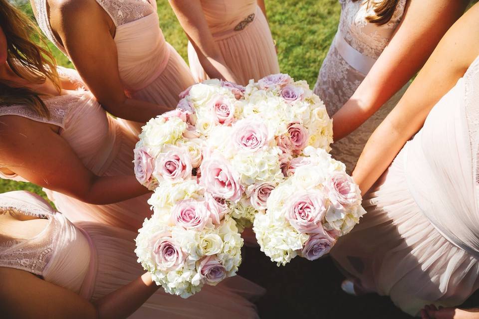 Pink and white roses